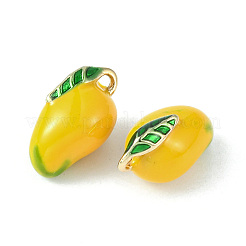 Brass Enamel Charms&nbsp;KK-G462-38LG