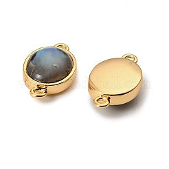 Natural Paua Shell Oval Connector Charms&nbsp;KK-G538-45G