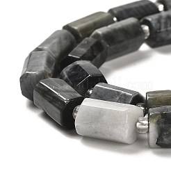 Natural Eagle Eye Stone Beads Strands&nbsp;G-N327-06-08