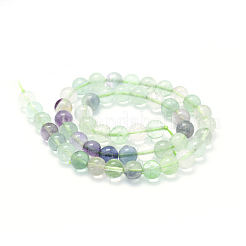 Natural Fluorite Beads Strands&nbsp;G-P335-19-8mm
