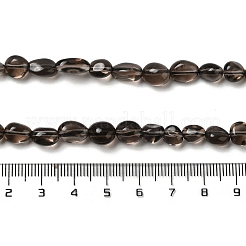Natural Ice Obsidian Beads Strands&nbsp;X-G-P497-01A-15