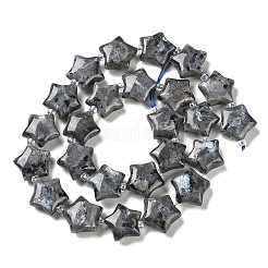 Natural Larvikite Beads Strands&nbsp;G-NH0005-016