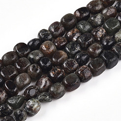 Natural Biotite Beads Strands&nbsp;G-N346-04A-02