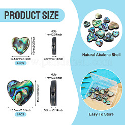 12Pcs 2 Styles Natural Abalone Shell/Paua Shell Beads&nbsp;SHEL-TA0001-41