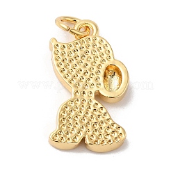 Rack Plating Brass Pendants&nbsp;X-KK-R144-04G