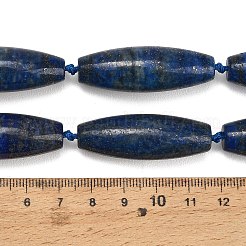 Natural Lapis Lazuli Beads Strands&nbsp;G-L654-G19-01