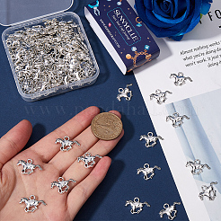 120Pcs Tibetan Style Alloy Pendants&nbsp;TIBEP-SC0003-09