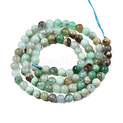 Natural Chrysoprase Beads Strands&nbsp;X-G-S333-4mm-016