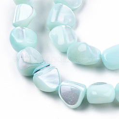Natural Trochid Shell/Trochus Shell Beads Strands&nbsp;SSHEL-N032-49-A03