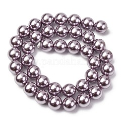 Electroplated Shell Pearl Beads Strands&nbsp;BSHE-G041-10mm-02
