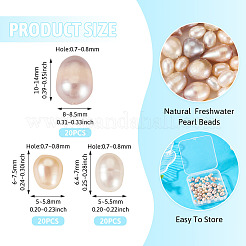 60Pcs 3 Styles Natural Cultured Freshwater Pearl Beads&nbsp;PEAR-TA0001-24