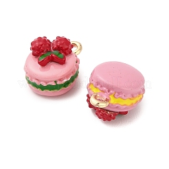 Alloy Enamel Charms&nbsp;ENAM-I080-03G