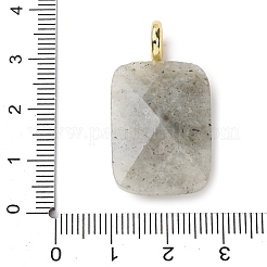 Natural Mixed Stone Faceted Pendants&nbsp;G-B186-01G