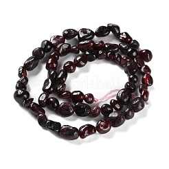 Natural Garnet Beads Strands&nbsp;G-P497-01C-40