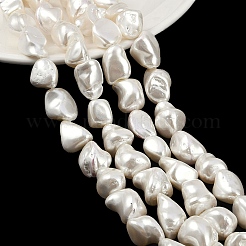 Shell Pearl Beads Strands&nbsp;BSHE-C008-01