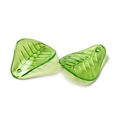 Transparent Acrylic Pendant&nbsp;OACR-E039-69F