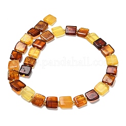 Natural Amber Beads Strands&nbsp;G-C260-A01-02