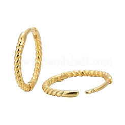 Unisex 925 Sterling Silver Hoop Earrings&nbsp;EJEW-AA00271-06G