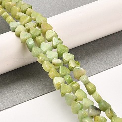 Natural Dolomite Beads Strands&nbsp;G-F765-H04-01