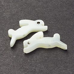 Natural Trochid Shell/Trochus Shell Beads&nbsp;SSHEL-K027-15