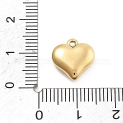 304 Stainless Steel Charms&nbsp;STAS-R155-054B-G