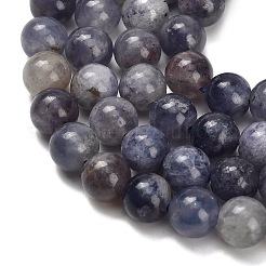 Natural Iolite Beads Strands&nbsp;X-G-G300-A04-8mm