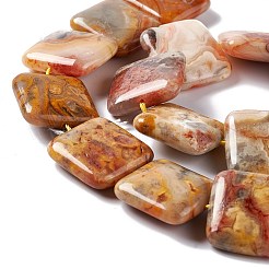 Natural Crazy Lace Agate Beads Strands&nbsp;G-L253-12