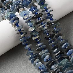 Natural Kyanite Beads Strands&nbsp;G-J403-01