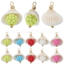 20Pcs 5 Colors Clam Shell & Glass Seed Beaded Pendants&nbsp;FIND-BBC0004-23