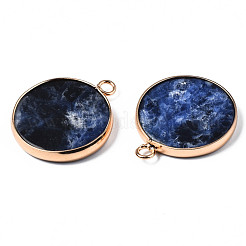 Natural Sodalite Pendants&nbsp;G-Q998-010B