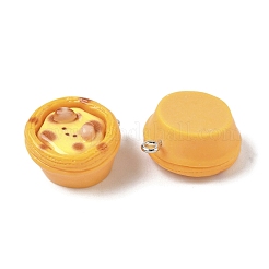 Opaque Resin Pendants&nbsp;FIND-Z092-02P-04
