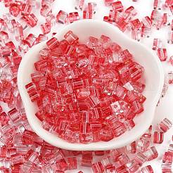 Spray Painted Glass Seed Beads&nbsp;SEED-A034-01D