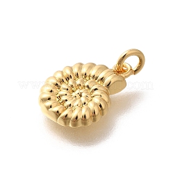 Rack Plating Brass Pendants&nbsp;X-KK-M296-14G