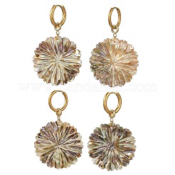 Natural Paua Shell 202 Stainless Steel Dangle Huggie Hoop Earrings for Women&nbsp;EJEW-JE07439-02
