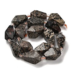 Natural Snowflake Obsidian Beads Strands&nbsp;G-NH0005-B03-01