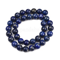 Natural Lapis Lazuli Bead Strands&nbsp;G-G953-03-10mm
