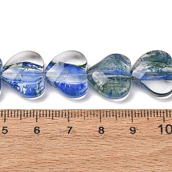 Transparent Handmade Lampwork Beads&nbsp;LA-CBAF0C8-01D