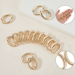 20Pcs Zinc Alloy Spring Gate Rings&nbsp;FIND-SP0004-30G