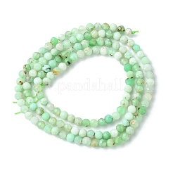 Natural Chrysoprase Beads Strands&nbsp;G-F748-X01-02B