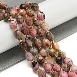 Natural Rhodonite Beads Strands&nbsp;G-N342-49