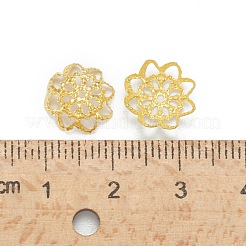 Iron Fancy Bead Caps&nbsp;IFIN-ZX1173-G