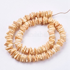 Natural Sea Shell Beads Strands&nbsp;BSHE-K012-08