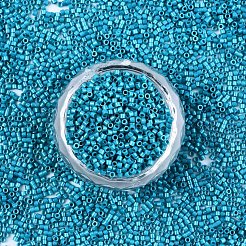 FGB 11/0 Grade A Baking Paint Glass Seed Beads&nbsp;SEED-S030-1041