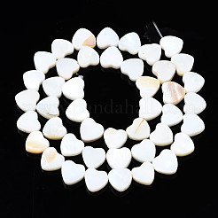 Natural Freshwater Shell Beads Strands&nbsp;X-SHEL-N026-152