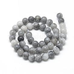 Natural Hawk's Eye Beads Strands&nbsp;G-R446-8mm-17