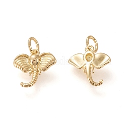 Brass Charms&nbsp;KK-L006-009G