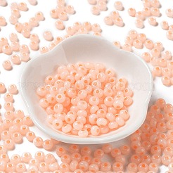 Imitation Jade 3/0 Glass Seed Beads&nbsp;SEED-Z001-A-A08