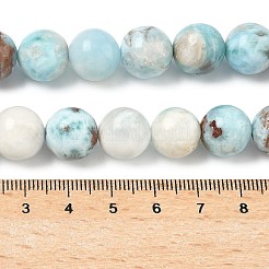 Natural Larimar Beads Strands&nbsp;G-C264-A01-12mm