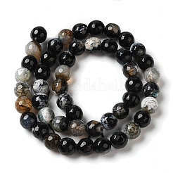Dyed & Heated Natural Fire Crackle Agate Beads Strands&nbsp;G-P539-B01-10