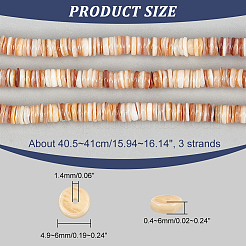 3 Strands Natural Shell Beads Strands&nbsp;SSHEL-NB0001-44B